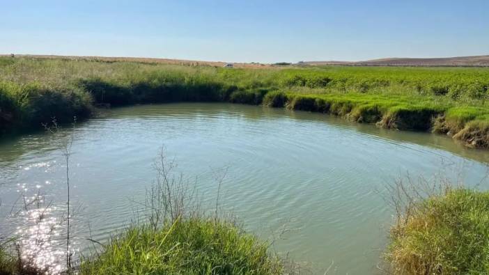 Konya'dan sonra Şanlıurfa'da da ortaya çıktı