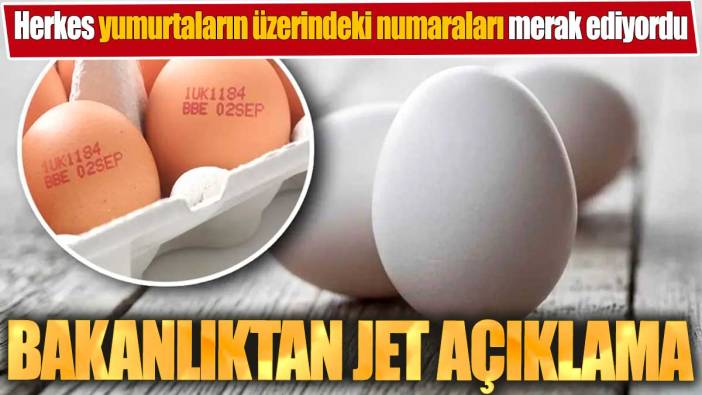 Herkes yumurtaların üzerindeki numaraları merak ediyordu. Bakanlıktan jet açıklama