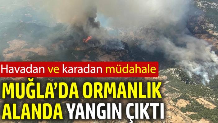 Muğla’da ormanlık alanda yangın çıktı ‘Havadan ve karadan müdahale’