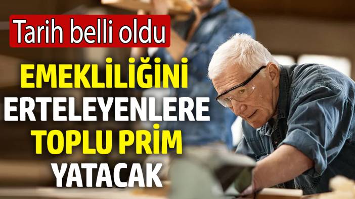 Emekliliğini erteleyenlere toplu prim yatacak! Tarih belli oldu