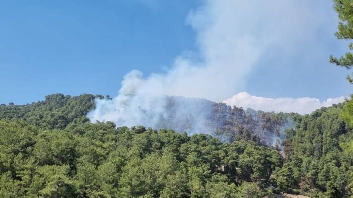 Antalya Kaş'ta orman yangını