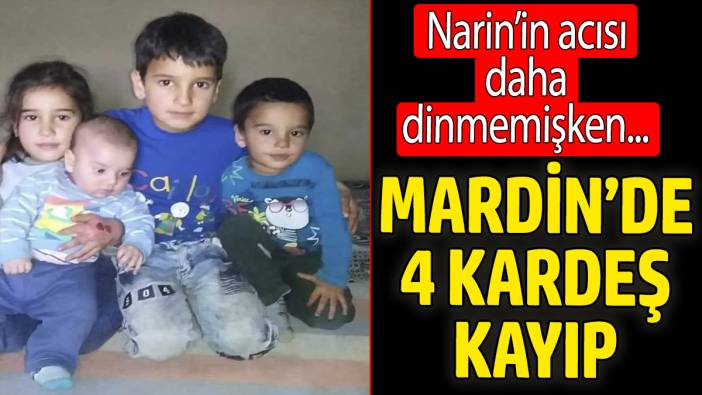 Narin'in acısı daha dinmemişti. Mardin'de 4 kardeş kayıp!