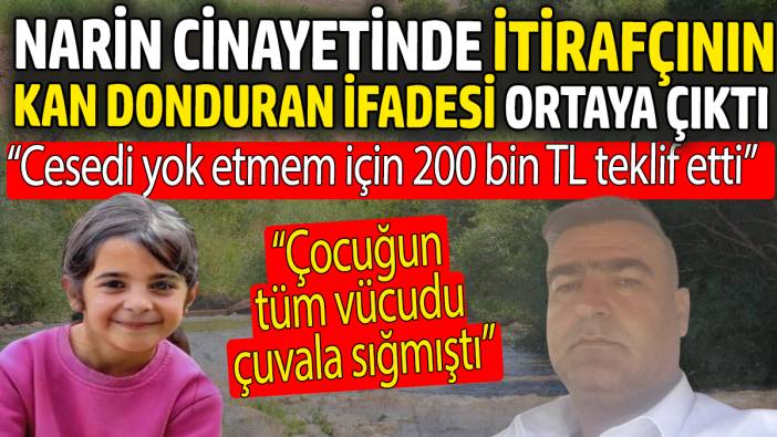 Narin cinayetinde itirafçının kan donduran ifadesi ortaya çıktı: Cesedi yok etmem için 200 bin TL teklif etti