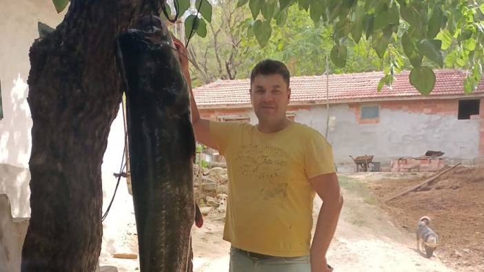 Meriç Nehri'nde dev yayın balığı yakalandı