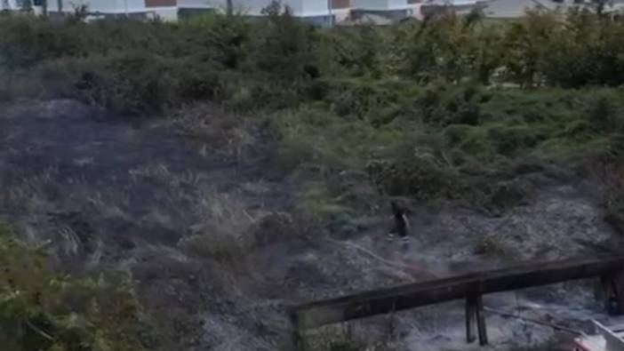 Düzce'de anız yangını (9 Eylül 2024)