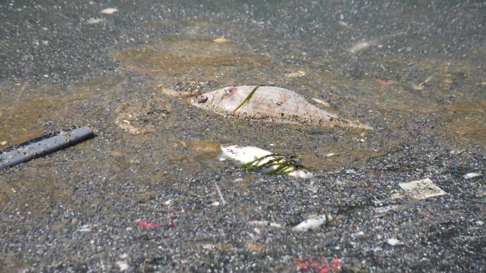 Bakanlıktan İzmir Büyükşehir Belediyesi'ne 1,8 milyon TL ceza