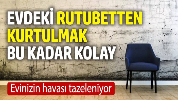 Evdeki rutubetten kurtulmak bu kadar kolay. Evinizin havası tazeleniyor