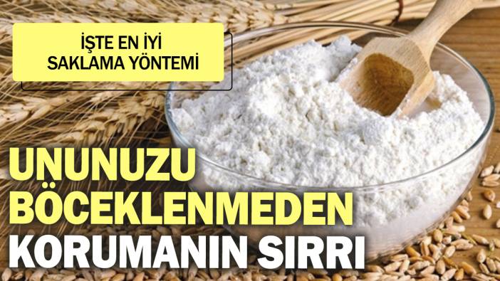 Ununuzu böceklenmeden korumanın sırrı. İşte en iyi saklama yöntemi