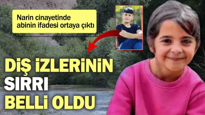 Narin cinayetinde abinin ifadesi ortaya çıktı: Diş izlerinin sırrı belli oldu