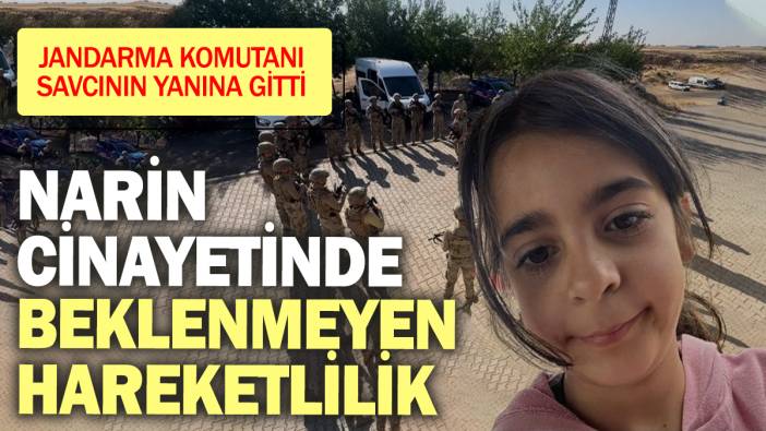 Son dakika! Narin cinayetinde Jandarma komutanı savcının yanına gitti