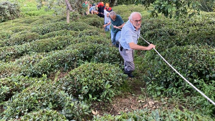 Teleferikten çay bahçesine atlayan kadın yaralandı