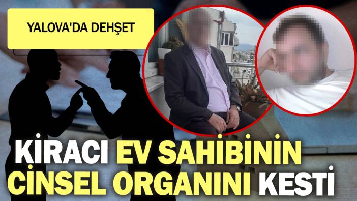 Yalova'da dehşet: Kiracı ev sahibinin cinsel organını kesti