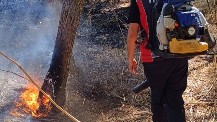 Mardin’de ormanlık alanda çıkan yangın kontrol altına alındı