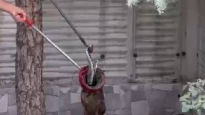 Bolu'da duvara sıkışan yılanın imdadına itfaiye yetişti