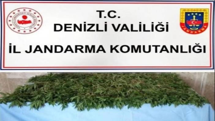 Denizli'de 7 ilçede uyuşturucu operasyonu