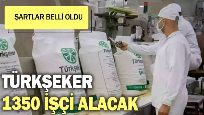 Türkşeker 1350 işçi alacak: Şartlar belli oldu