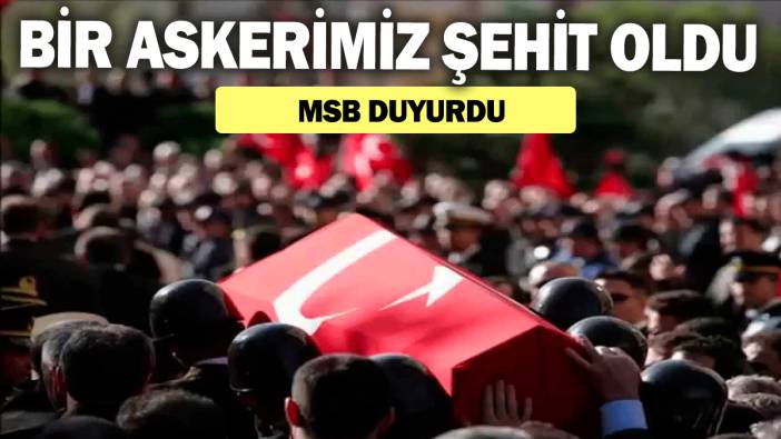 SON DAKİKA! Bir askerimiz şehit oldu