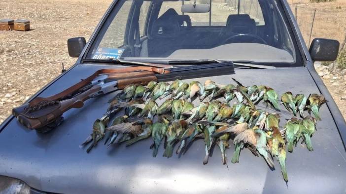 Arı kuşlarını avlayarak katleden 2 şahsa ceza