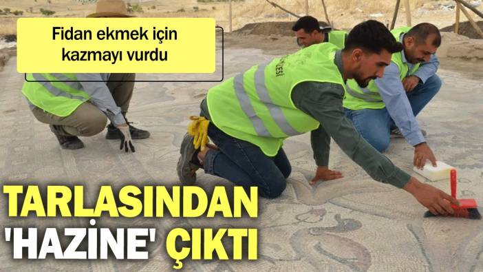 Fidan ekmek için kazmayı vurdu, tarlasından 'hazine' çıktı