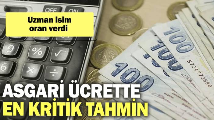 Asgari ücrette en kritik tahmin: Uzman isim oran verdi