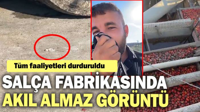 Salça fabrikasında akıl almaz görüntü! Tüm faaliyetleri durduruldu