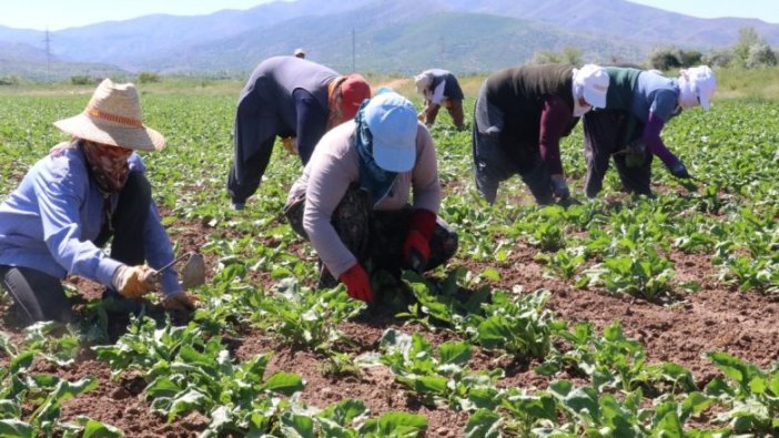 Çiftçi borçlarının yapılandırılması için teklif