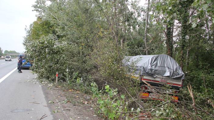 Anadolu Otoyolu'da TIR ağaca çarptı: 1 yaralı