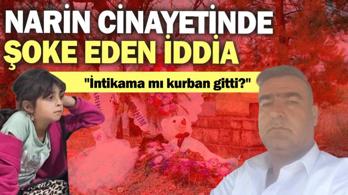 Narin Güran Cinayetinde şoke eden iddia: "İntikama mı kurban gitti?"