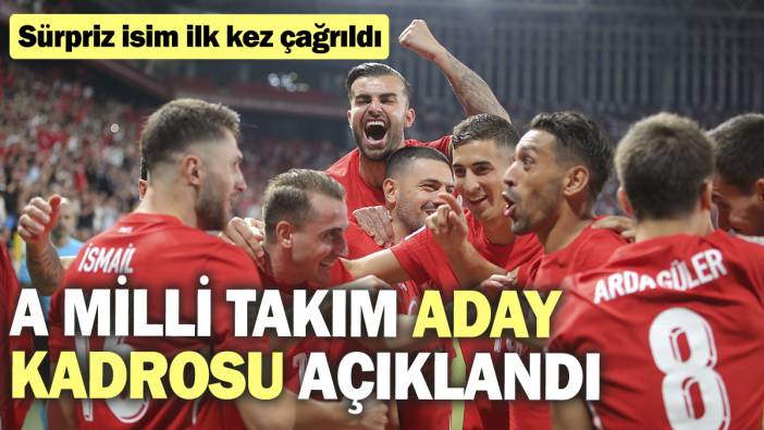 A Milli Takım aday kadrosu açıklandı. Sürpriz isim ilk kez çağrıldı