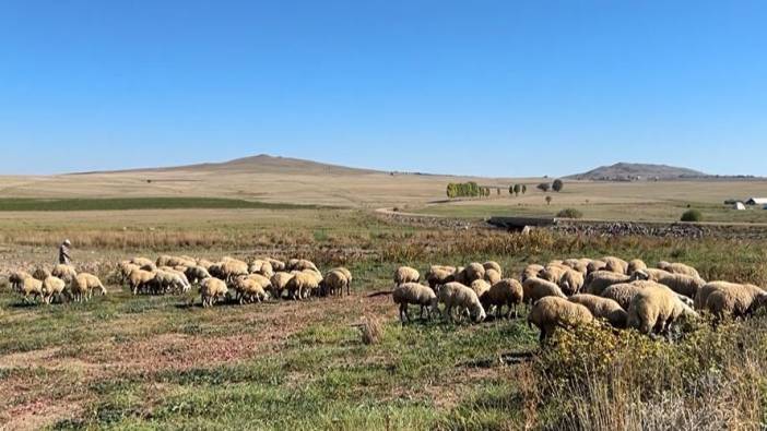 Yozgat'ta kuraklık alarmı