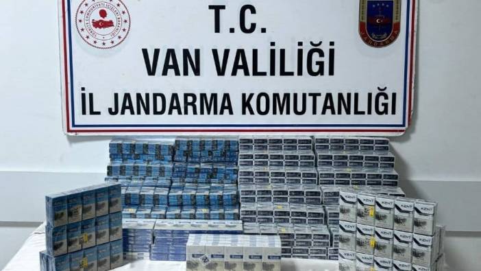 Van'da  kaçakçılık operasyonu: 95 gözaltı