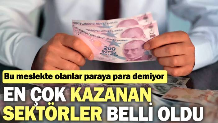 Bu meslekte olanlar paraya para demiyor! En çok kazanan sektörler belli oldu