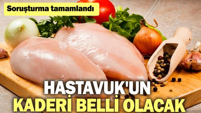 Hastavuk'un kaderi belli olacak: Soruşturma tamamlandı