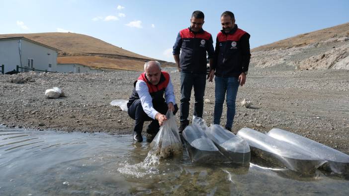 Baraj ve göletlere milyonlarca sazan yavrusu bırakıldı