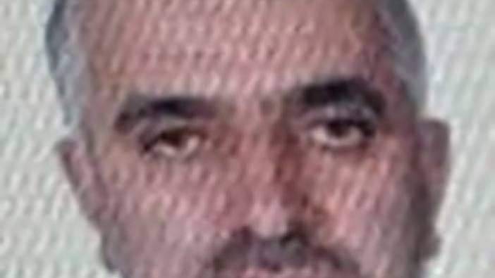 Ordu’da kestiği ağacın altında kalarak can verdi