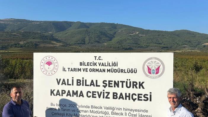 Kavaklığı ceviz bahçesine dönüştüren muhtarlık ilk hasadını yaptı