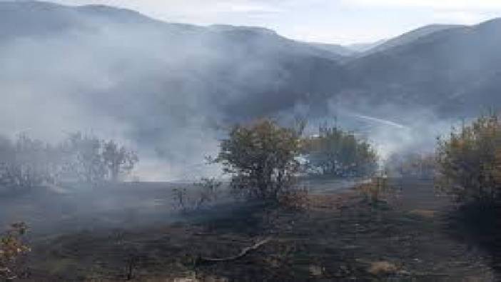Bitlis’te orman yangını