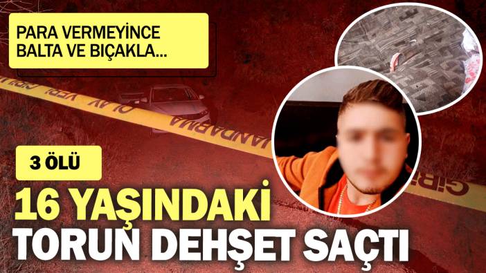 16 yaşındaki torun dehşet saçtı: Para vermeyince balta ve bıçakla...