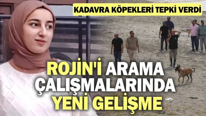 Rojin'i arama çalışmalarında yeni gelişme! Kadavra köpekleri tepki verdi