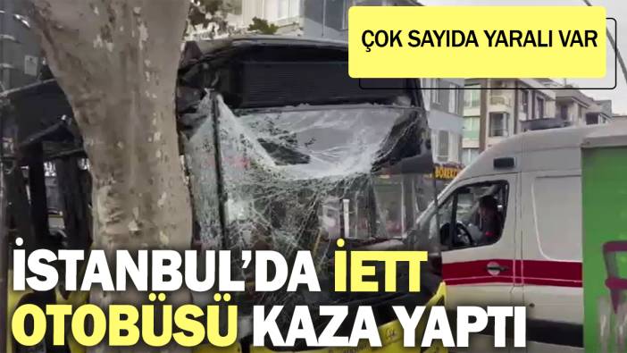 SON DAKİKA! İstanbul'da İETT ağaca çarptı: Yaralılar var