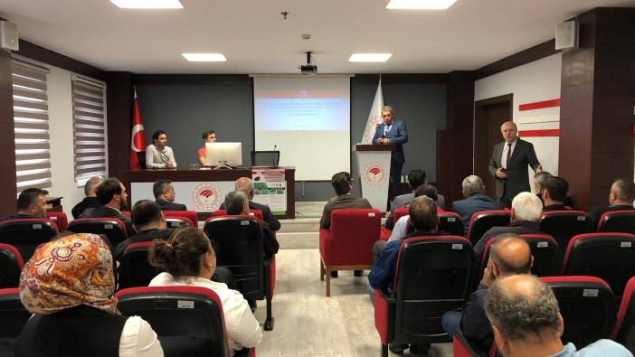 Bafra'da kahverengi kokarca ile mücadele