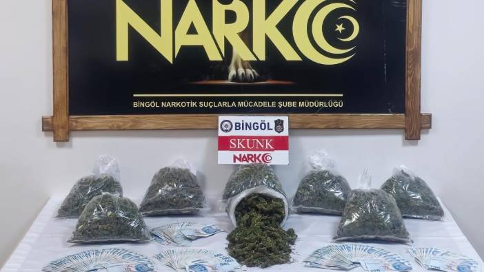 Bingöl'de kilolarca skunk ele geçirildi