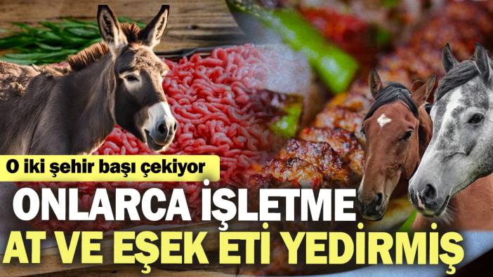 O iki şehir başı çekiyor: Onlarca işletme at ve eşek eti yedirmişler