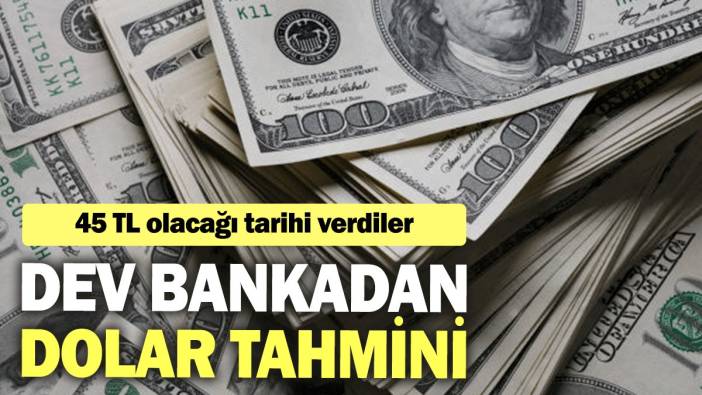 Dev bankadan dolar tahmini: 45 TL olacağı tarihi verdiler