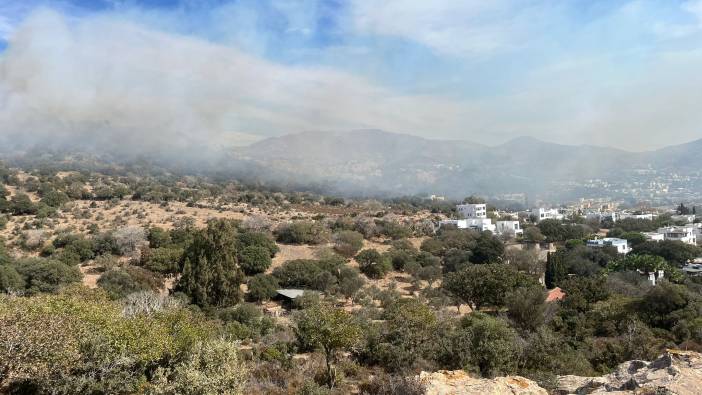 Bodrum'da yangın: 5 hektar küle döndü