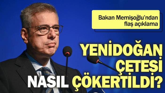 Sağlık Bakanı Memişoğlu'ndan flaş açıklama: Yenidoğan çetesi nasıl çökertildi?