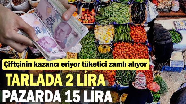 Tarlada 2 lira pazarda 15 lira: Çiftçinin kazancı eriyor tüketici zamlı alıyor