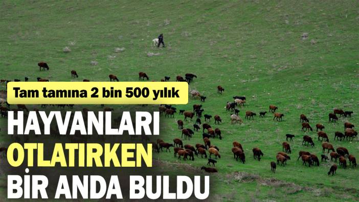 Hayvanları otlatırken bir anda buldu: Tam tamına 2 bin 500 yıllık