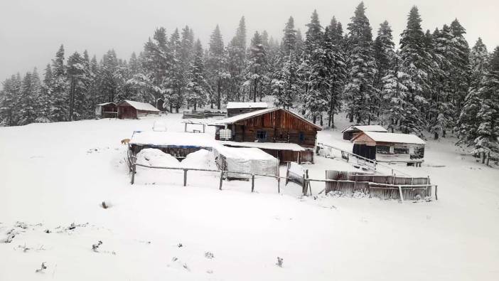 Tunceli'de  yaylada mahsur kalan vatandaşlar kurtarıldı