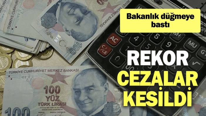 Bakanlık düğmeye bastı: Rekor cezalar kesildi